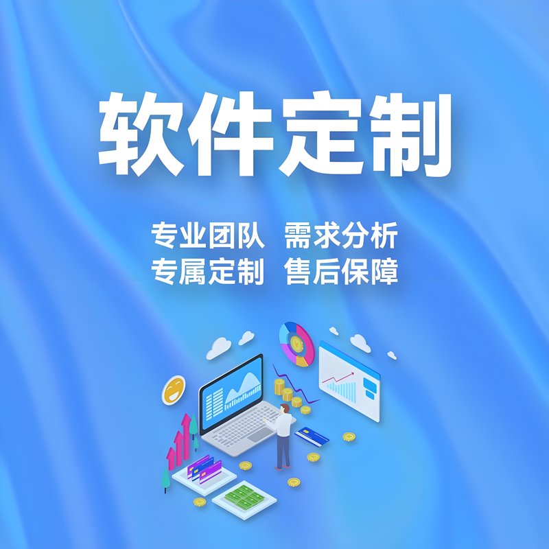 软件定制:解锁企业竞争力的秘密武器